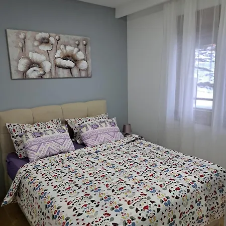 Apartman Br 1 *