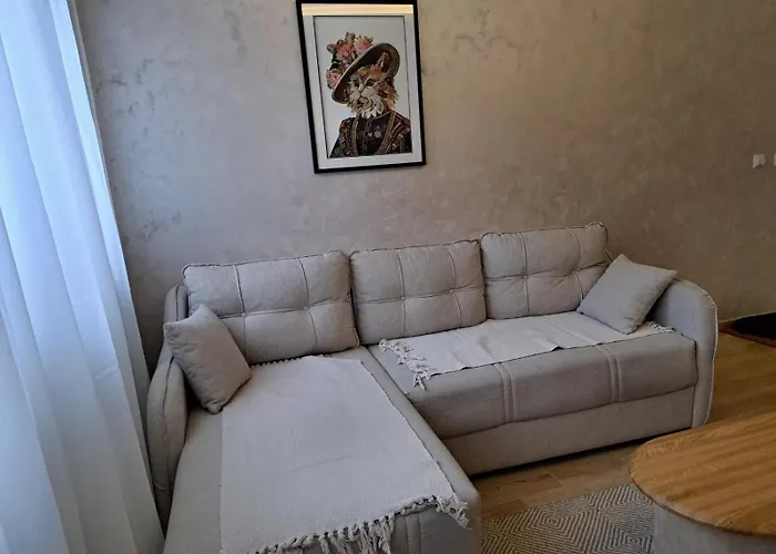 Br 1 * ズラティボール